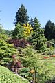 132 - Butchard Gardens  - IMG_1641